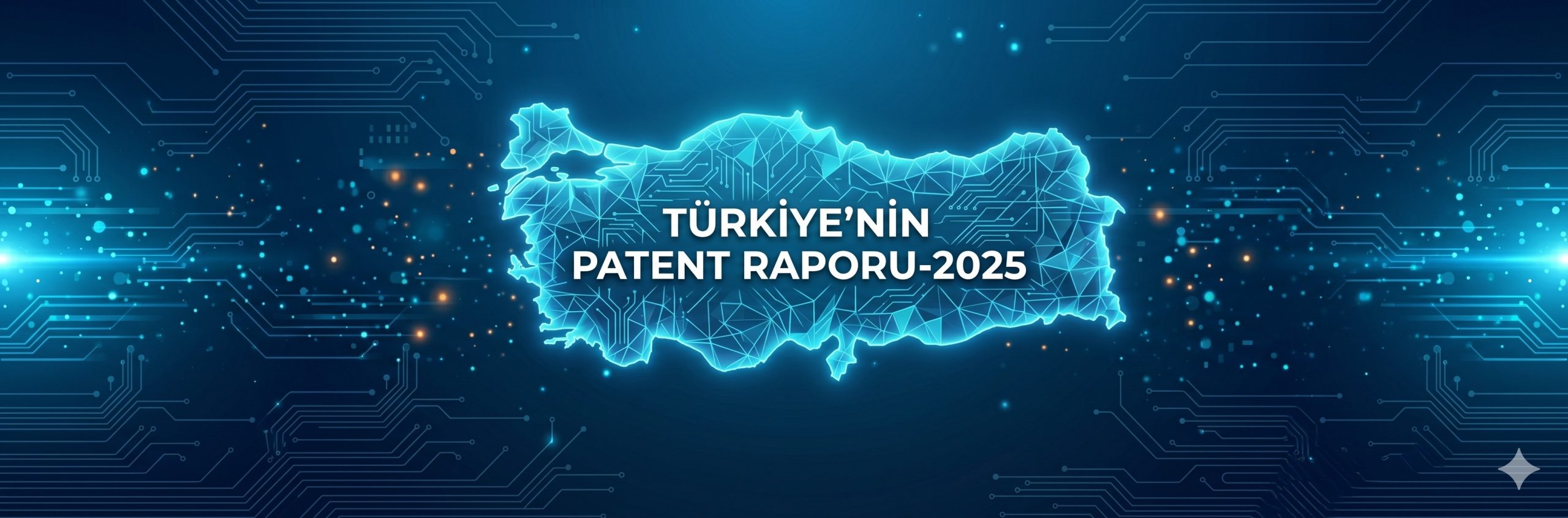 Türkiye Patent Raporu
